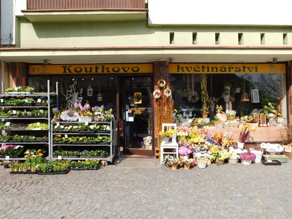 Koutkovo květinářství, náměstí Míru 52, Mladá Boleslav