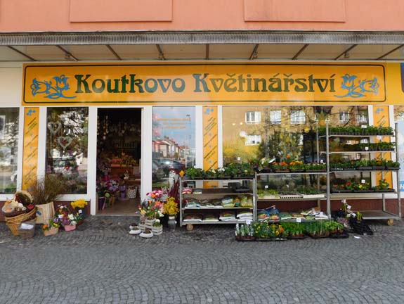 Koutkovo květinářství, Jičínská ulice (Rozvoj) 1364, Mladá Boleslav